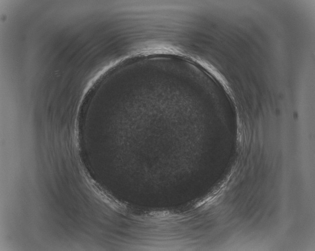 X0000078890391200611131235