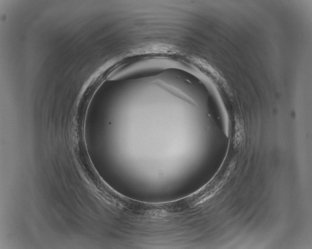 X0000078890392200611131235