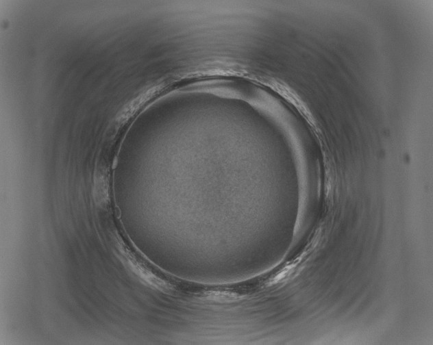 X0000078890393200611131235