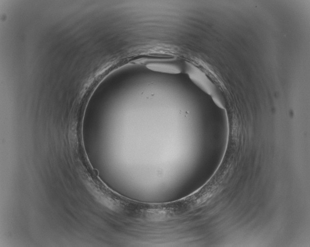 X0000078890394200611131235