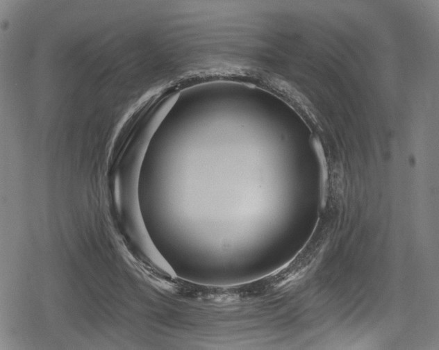 X0000078890395200611131235