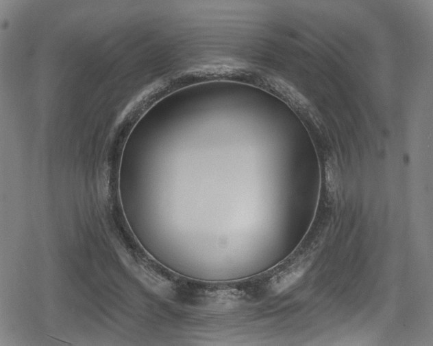 X0000078890396200611131235