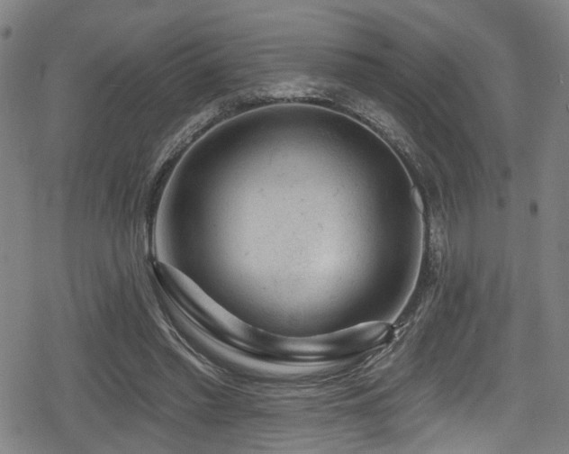 X0000078890397200611131235