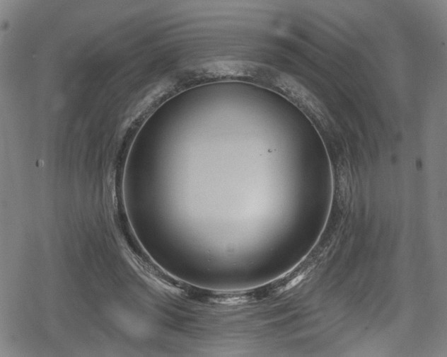 X0000078890398200611131235