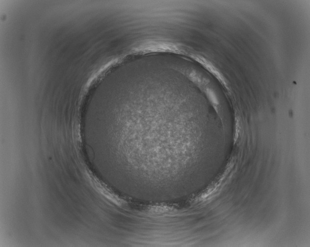 X0000078890399200611131235