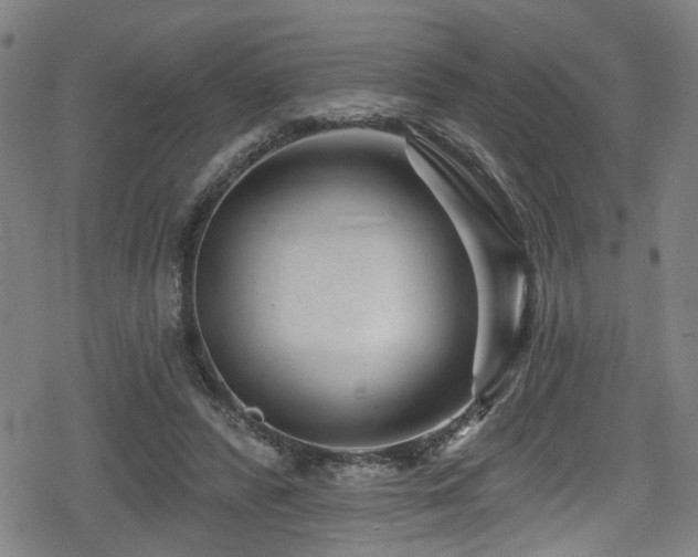 X0000078890400200611131235