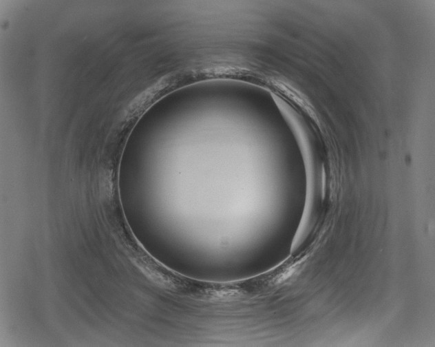 X0000078890401200611131235