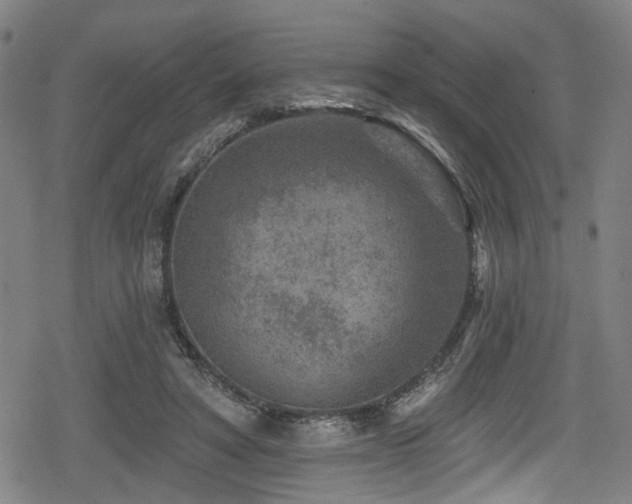 X0000078890402200611131235