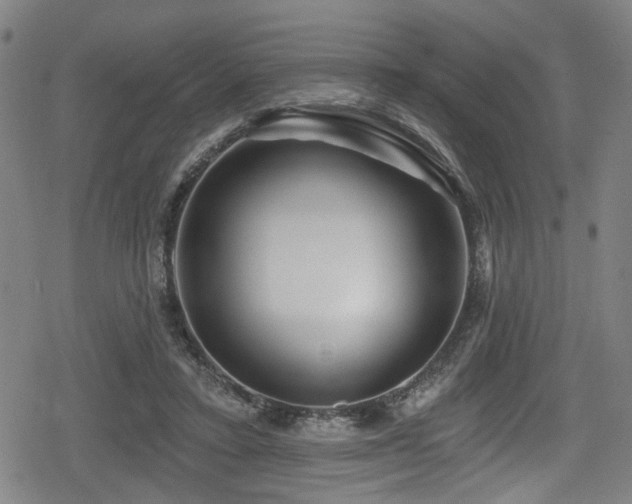 X0000078890403200611131235