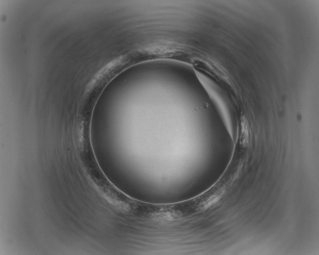 X0000078890404200611131235