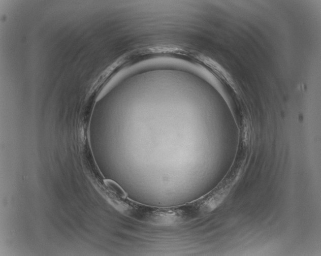 X0000078890405200611131235