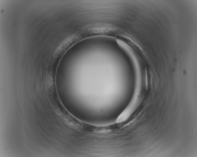 X0000078890407200611131235