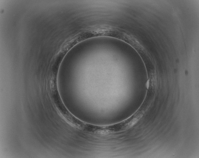 X0000078890408200611131235