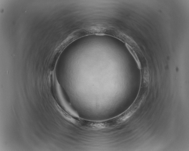 X0000078890409200611131235