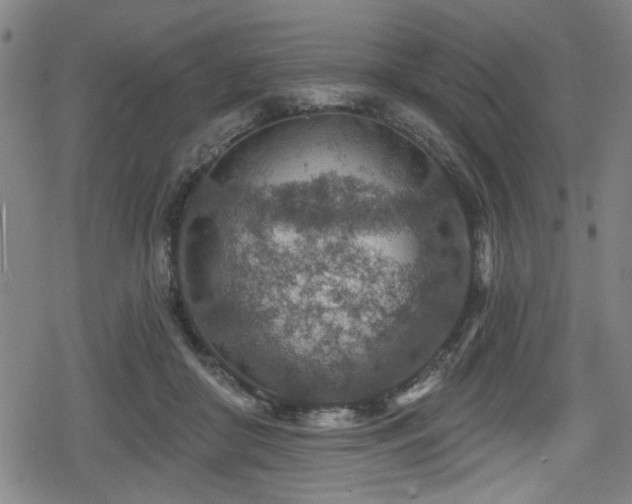 X0000078890410200611131235