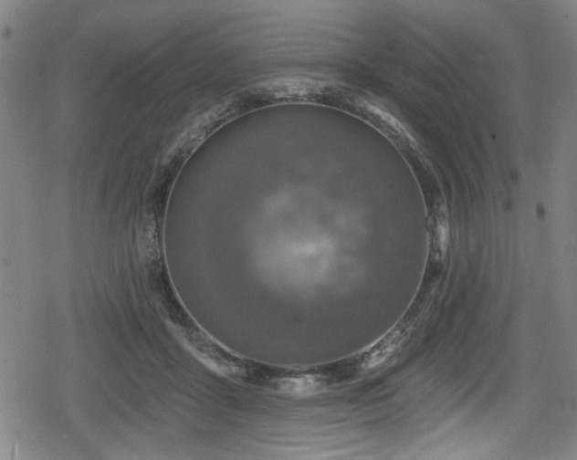 X0000078890411200611131235