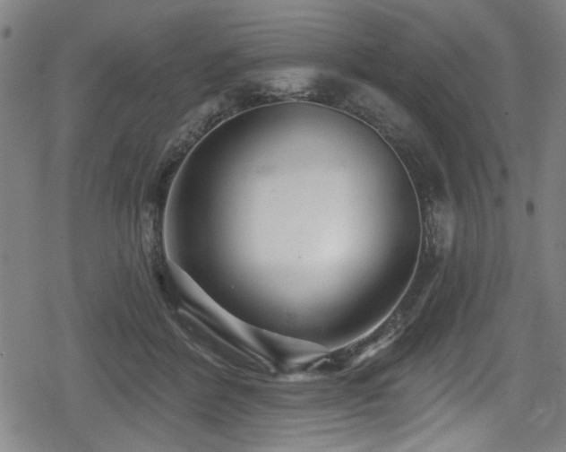 X0000078890412200611131235