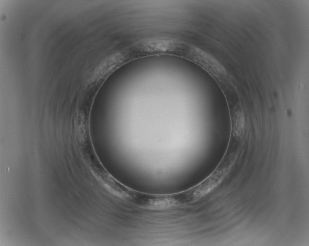 X0000078890414200611131235