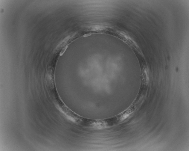 X0000078890415200611131235