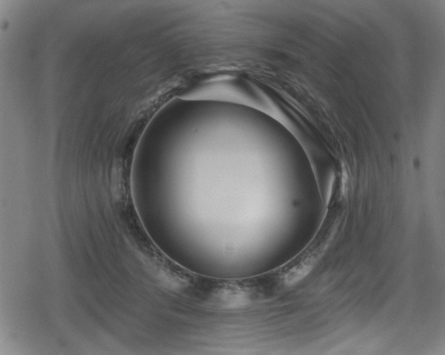 X0000078890416200611131235