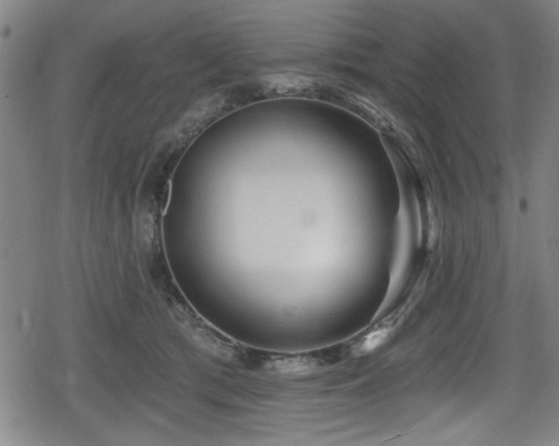 X0000078890417200611131235