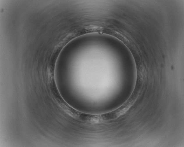 X0000078890420200611131235