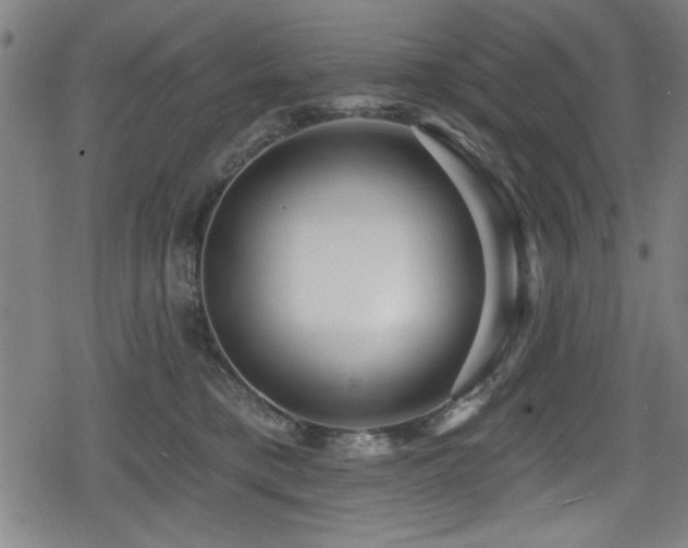 X0000078890421200611131235