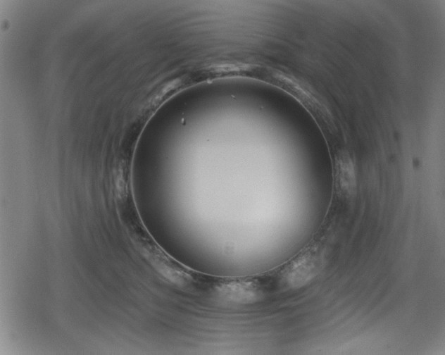 X0000078890422200611131235