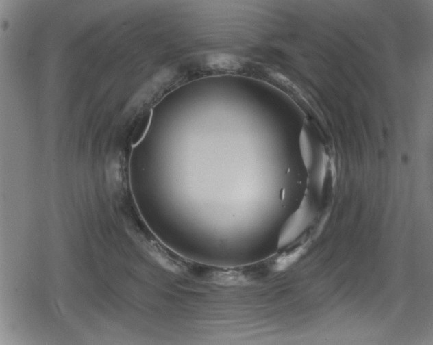 X0000078890424200611131235