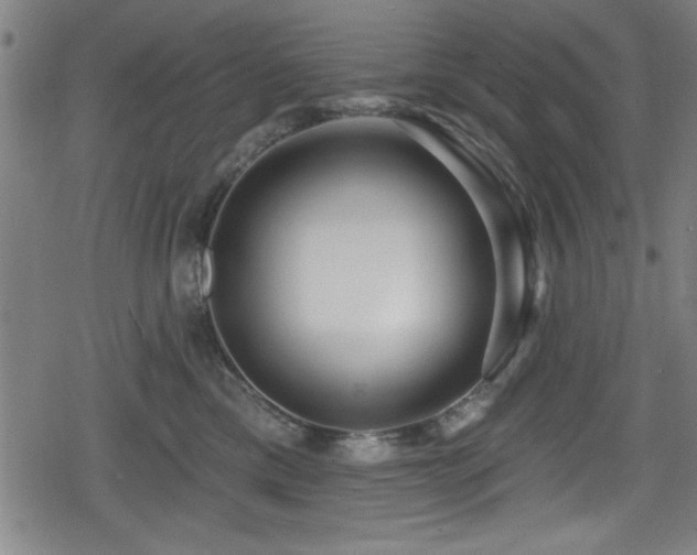 X0000078890425200611131234