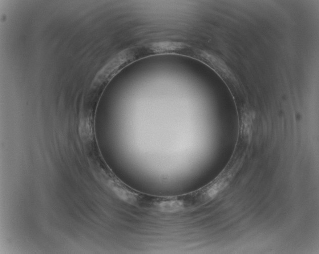 X0000078890426200611131234