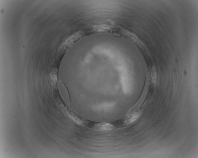 X0000078890427200611131234