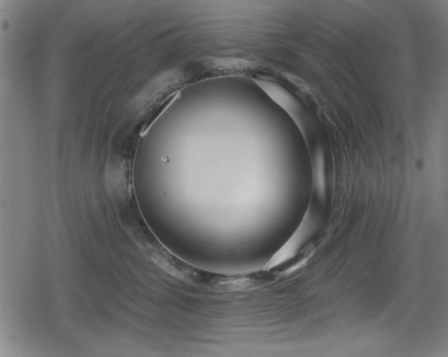 X0000078890428200611131234