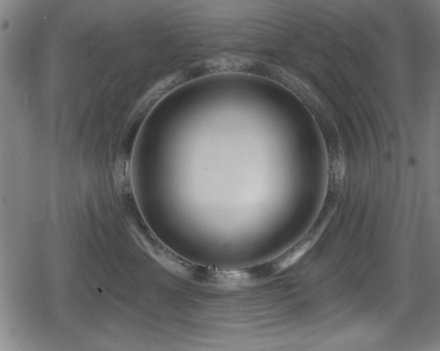 X0000078890429200611131234