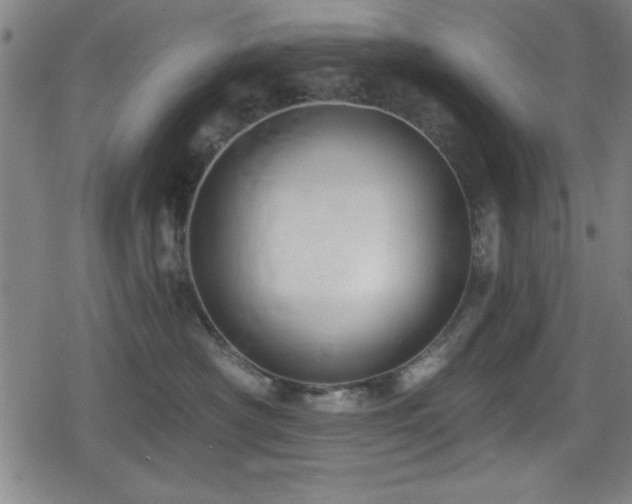 X0000078890430200611131234