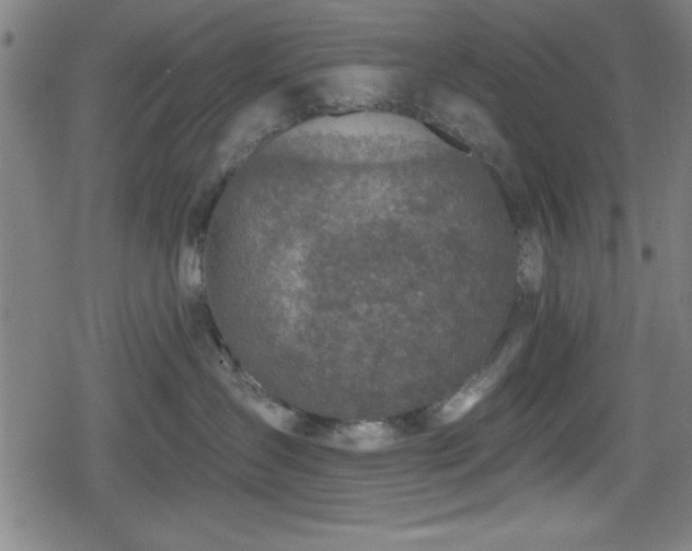 X0000078890431200611131234