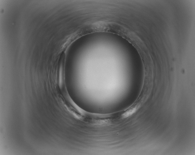 X0000078890432200611131234