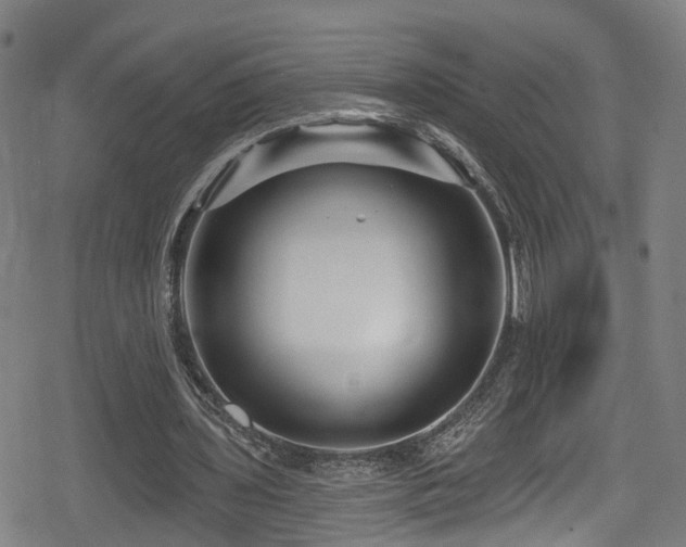 X0000078890435200611131234