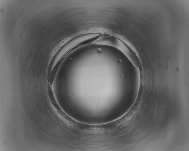 X0000078890437200611131234