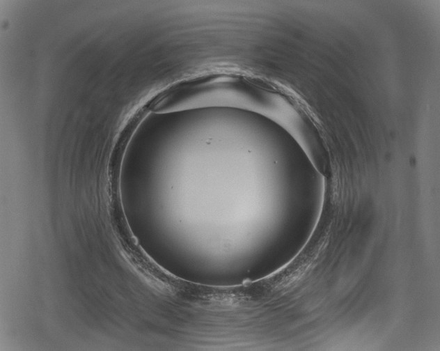 X0000078890439200611131234