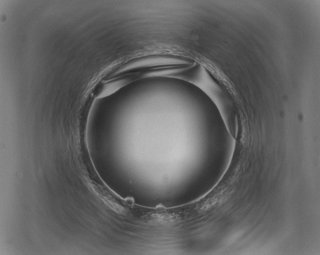 X0000078890442200611131234