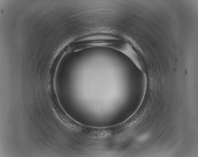 X0000078890443200611131234