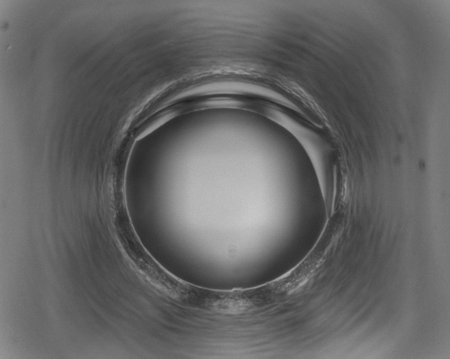 X0000078890444200611131234