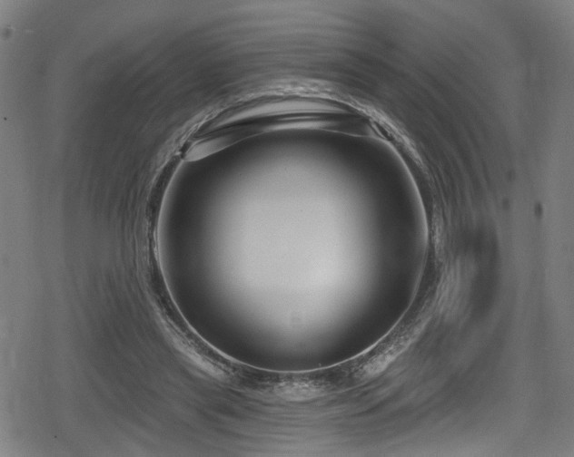 X0000078890445200611131234