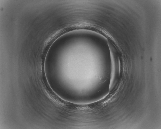 X0000078890446200611131234