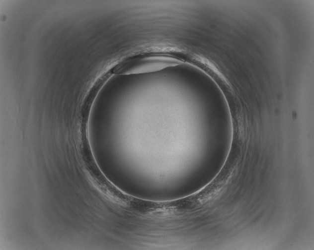 X0000078890447200611131234