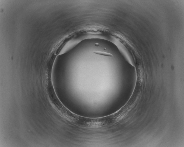 X0000078890448200611131234