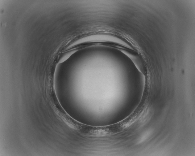 X0000078890449200611131234