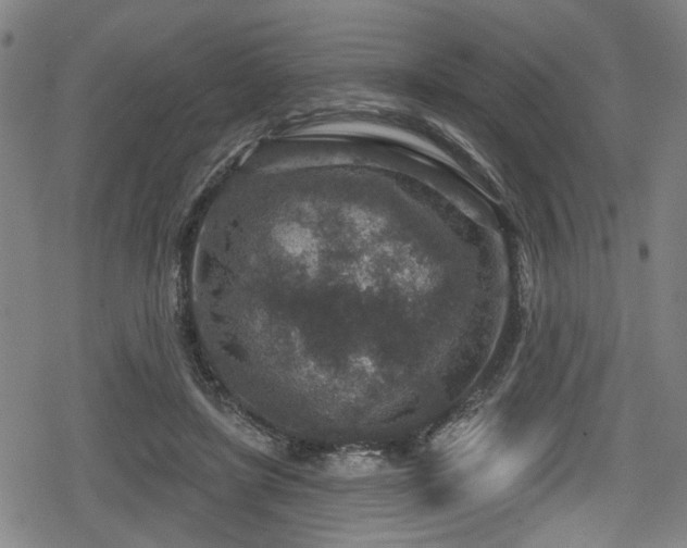 X0000078890451200611131234