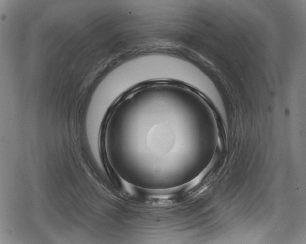 X0000078890452200611131234